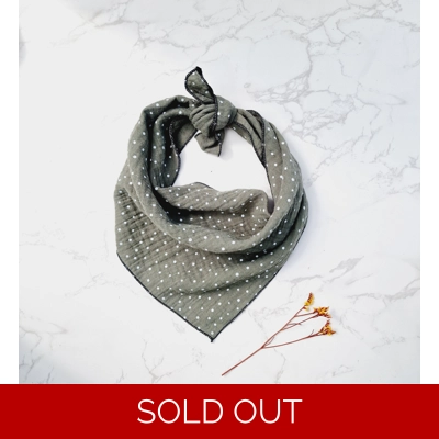 Sage Green Dots Dog Bandana